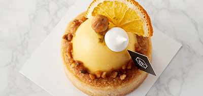 ����������Ÿ��Ʈ���